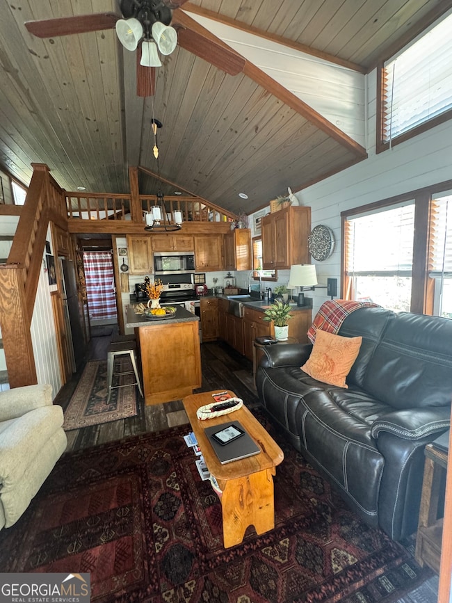 Natural light in living area and kitchen