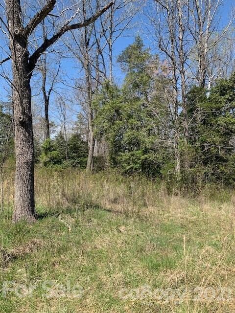 0000 Hanging Rock Ln, Statesville, NC 28625 - photo 5