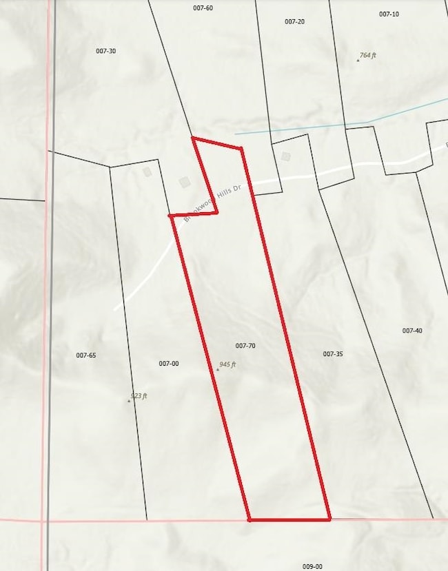 TBD Brookwood Hills Dr, Jordan Township, MI 49727 - photo 5