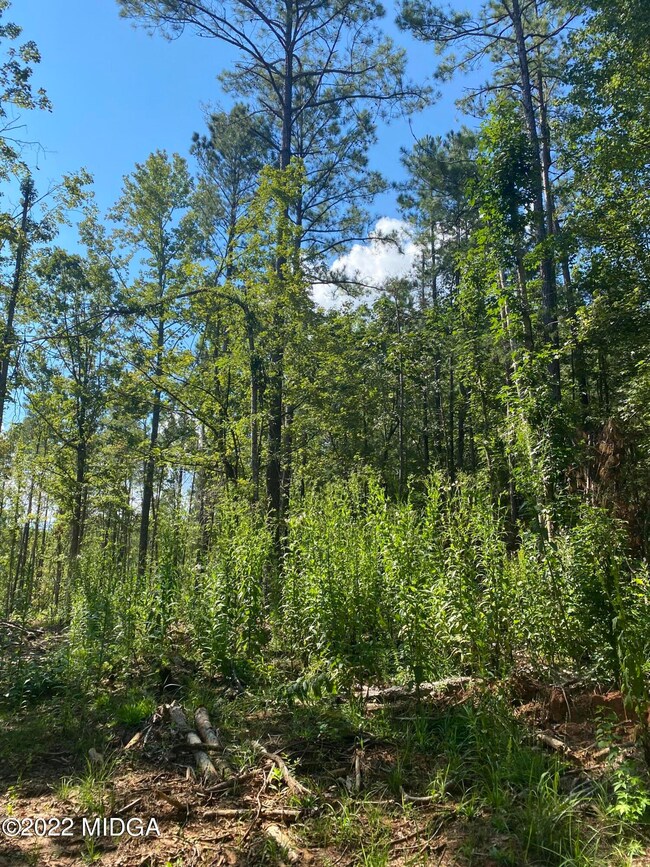 0 Russellville Rd unit M167250, Forsyth, GA 31029 - photo 5