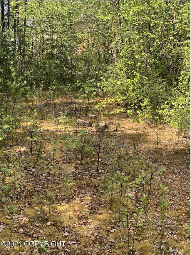 Screen Shot 2021-06-01 at 10.53.39 AM