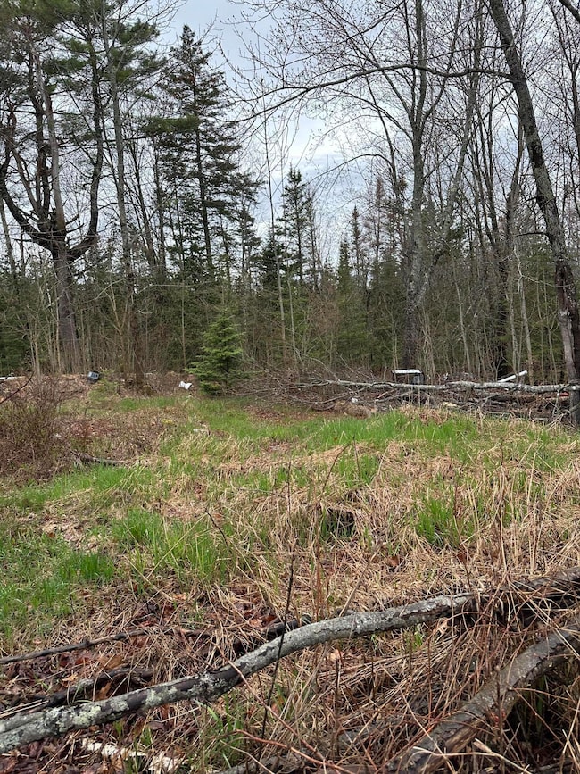 266 Willey District Rd, Cherryfield, ME 04622 - photo 5