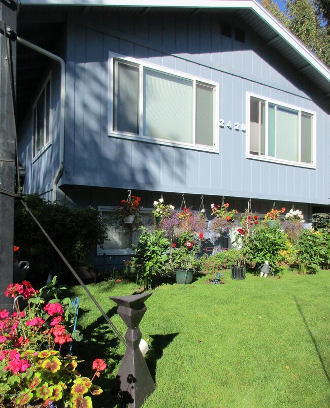 Front garden and yard