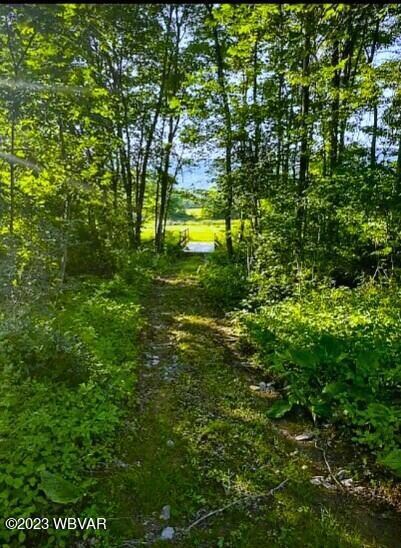 8787 Route 864 Hwy, Muncy, PA 17756 - photo 4