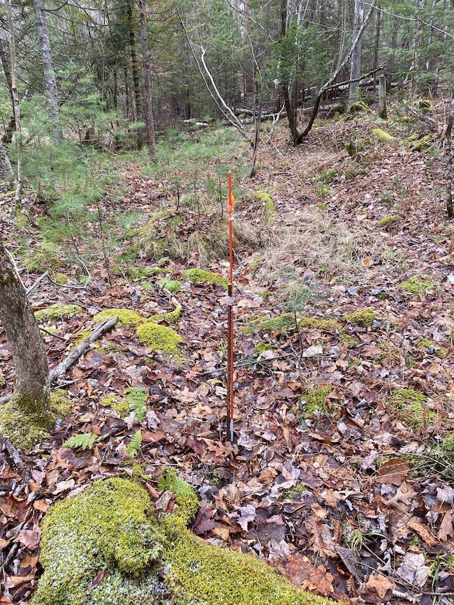 84 Vernon Ave, Haverhill, NH 03785 - photo 4