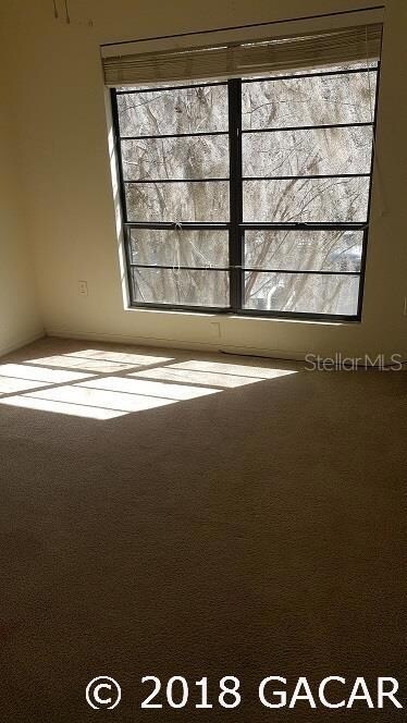 4634 SW 45th Ln, Gainesville, FL 32608 - photo 6