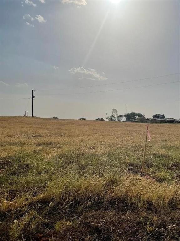 0000 Cotton Dale Rd, Springtown, TX 76082 - photo 2