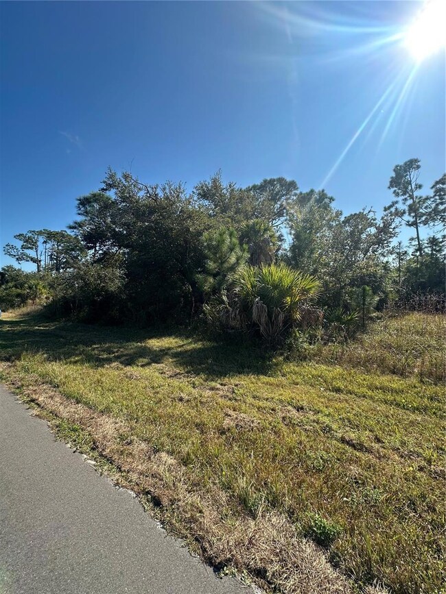 10405 Rockford Ave, Englewood East, FL 34224 - photo 4