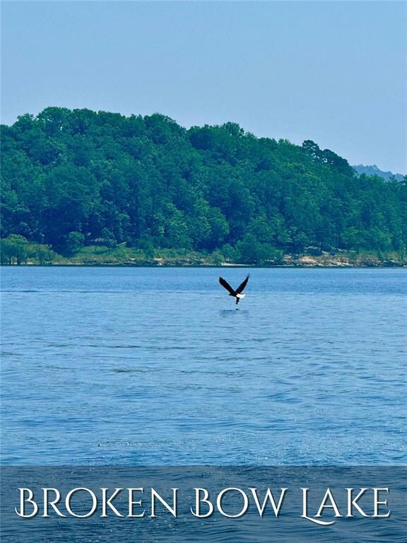 75 Sliding Hill Trail, Broken Bow, OK 74728 - photo 3