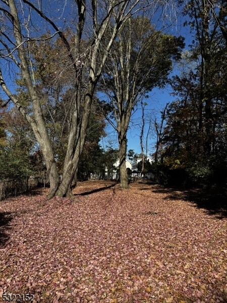 211 E 10th Ave, Roselle, NJ 07203 - photo 4