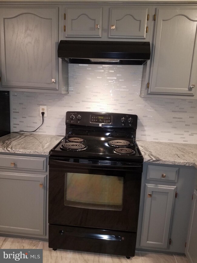 576 Boysenberry Ln, Frederick, MD 21703 - photo 2