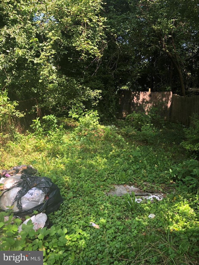 28 N Monastery Ave, Baltimore, MD 21229 - photo 2