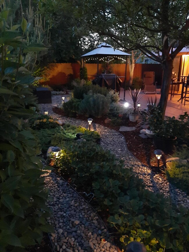 Summer Glen lights 1