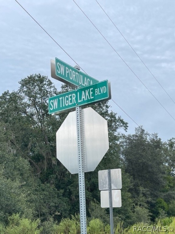 unlisted-address, Dunnellon, FL 34431 - photo 3