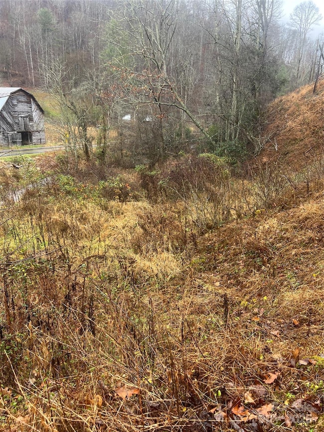 TBD Little Creek Rd, Burnsville, NC 28714 - photo 3