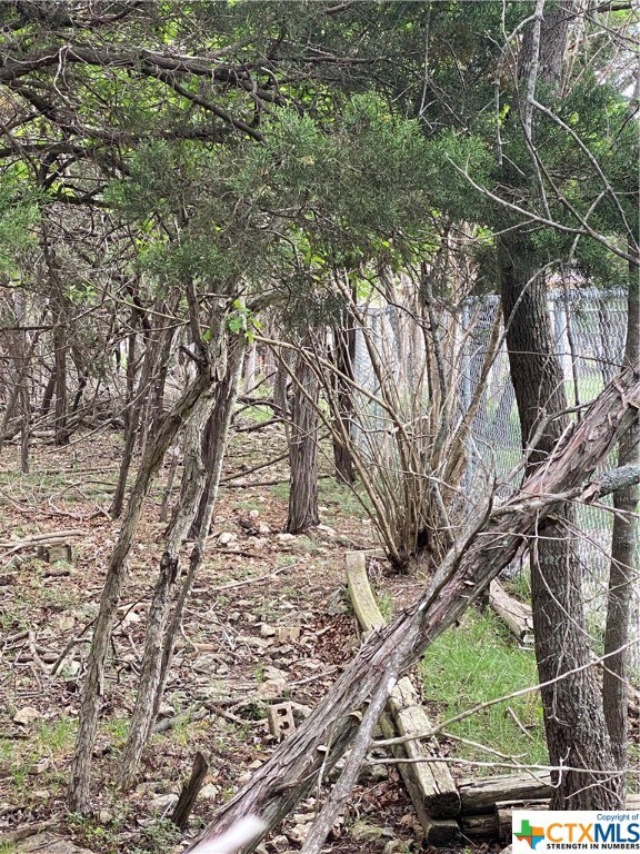 5303 Comanche Dr, Temple, TX 76502 - photo 6