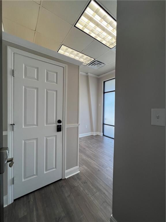 Suite 5-1