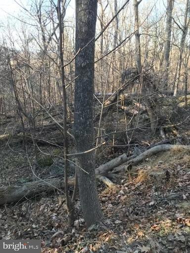 0 Northern Spy Dr, Linden, VA 22642 - photo 3