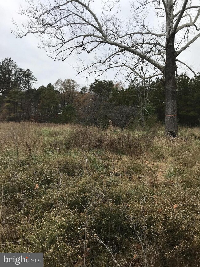 6120 Mt Airy Dr, Ruther Glen, VA 22546 - photo 2