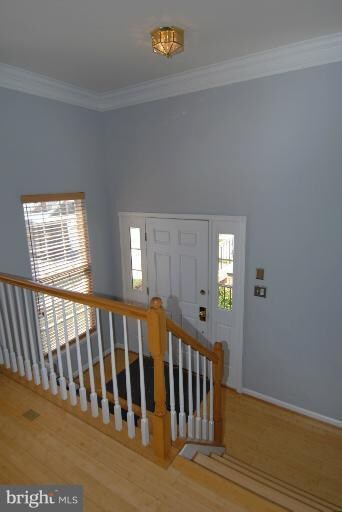 25258 Lyon Terrace, Chantilly, VA 20152 - photo 2