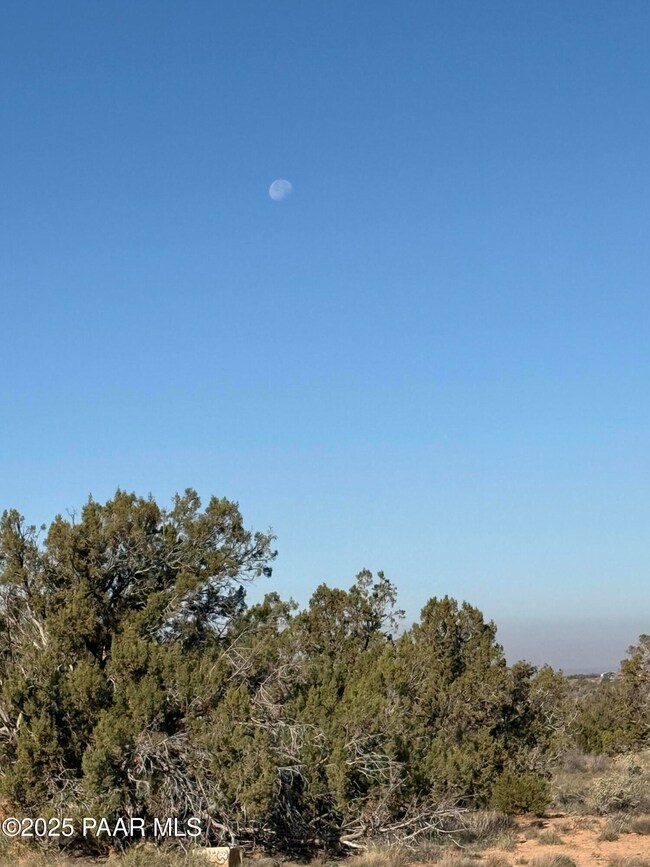 3868 Clyde Rd, Snowflake, AZ 85937 - photo 4