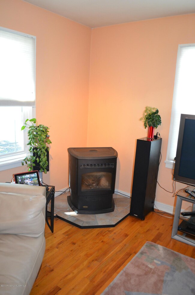 Pellet Stove