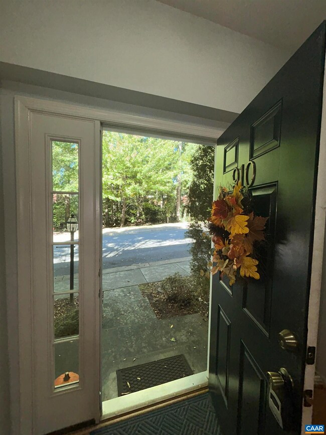 910 Rainier Rd, Charlottesville, VA 22903 - photo 4