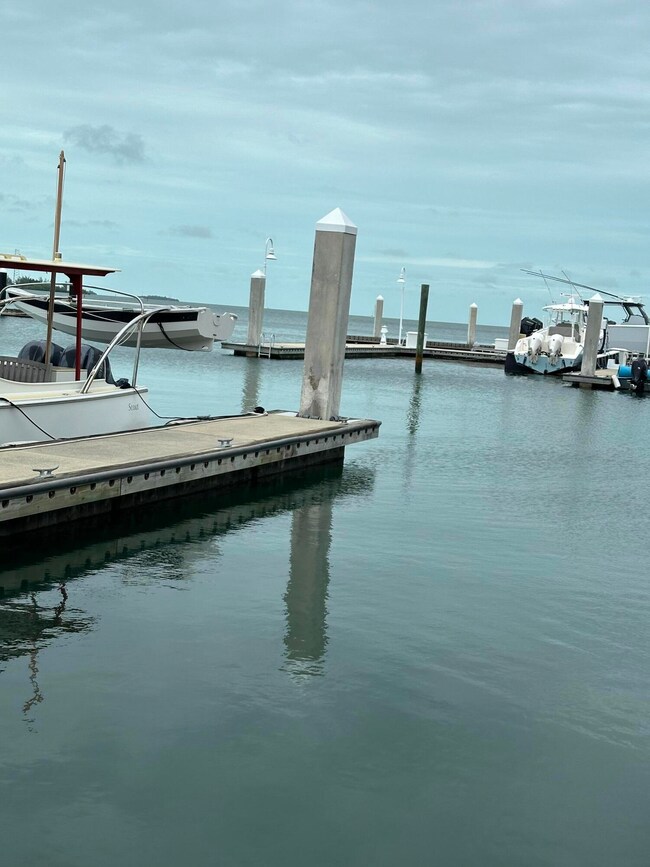 50' x 18'