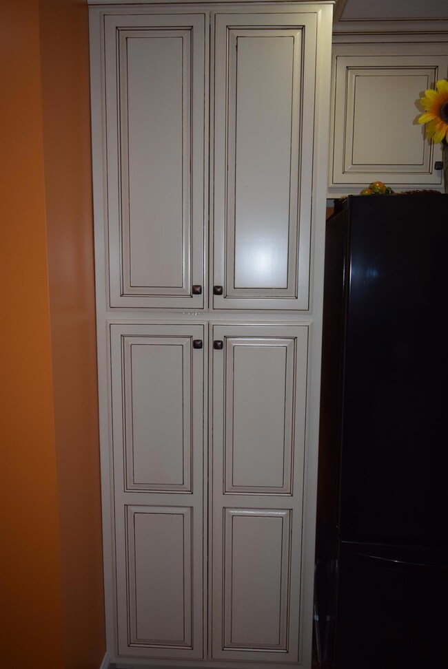 Large pantry cabinets
