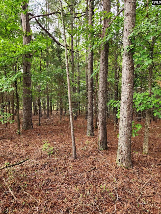 0 Elm St, Prosperity, SC 29127 - photo 4