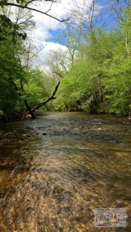 Henry Fork River