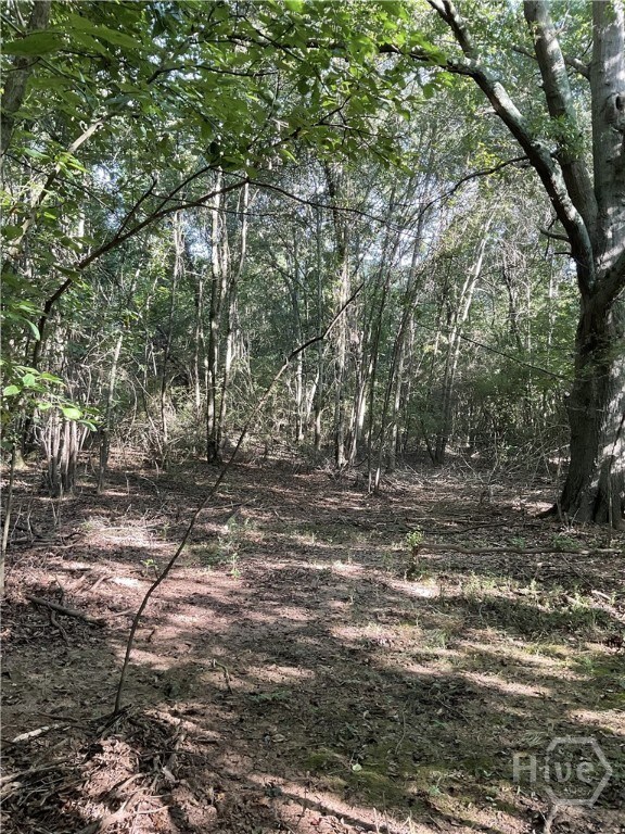 0 Bowers St unit LOT 1-8, Bowman, GA 30624 - photo 6