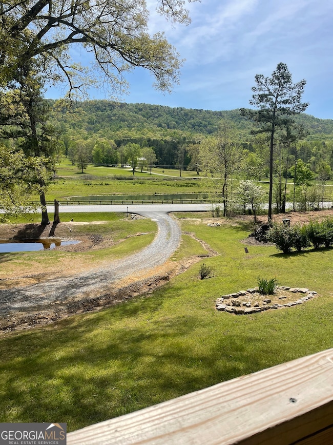 9744 Highway 151, Trion, GA 30753 - photo 5