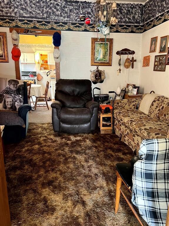 1013 E 10th St N, Newton, IA 50208 - photo 5