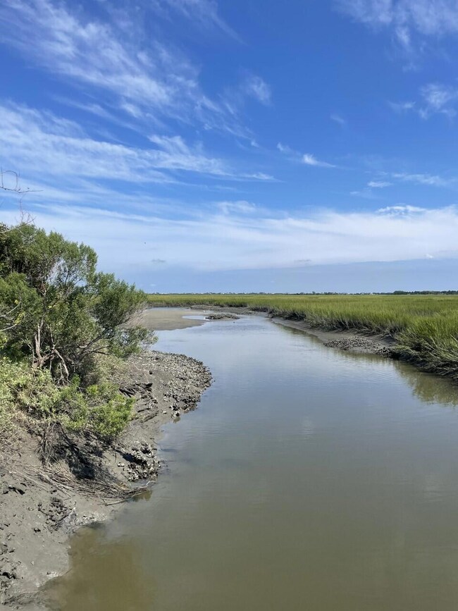 HL Marsh 2