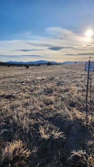 TR-36 23rd Trail, Cotopaxi, CO 81223 - photo 5