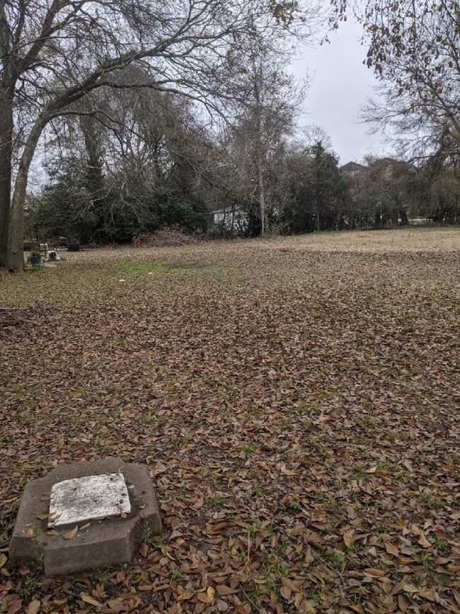 0 Sledge unit 78015579, Waller, TX 77484 - photo 4