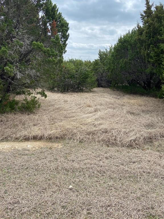 4082 Mesquite Dr, Whitney, TX 76692 - photo 2