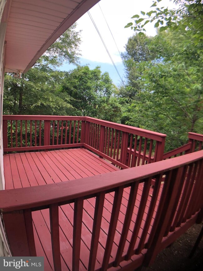 2820 Fort Dr, Alexandria, VA 22303 - photo 3