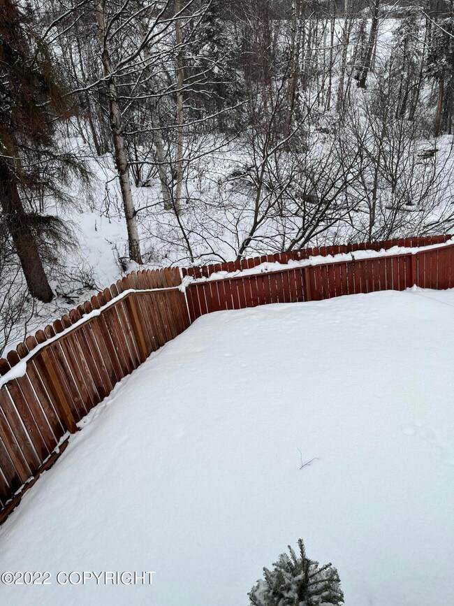 Fenced backyard