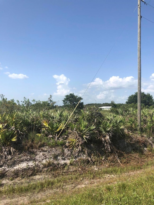 19775 NW 242nd St, Okeechobee, FL 34972 - photo 4