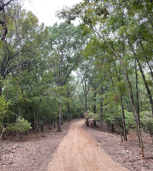 (Parcel 3) E 355 Rd, Jay, OK 74346 - photo 2