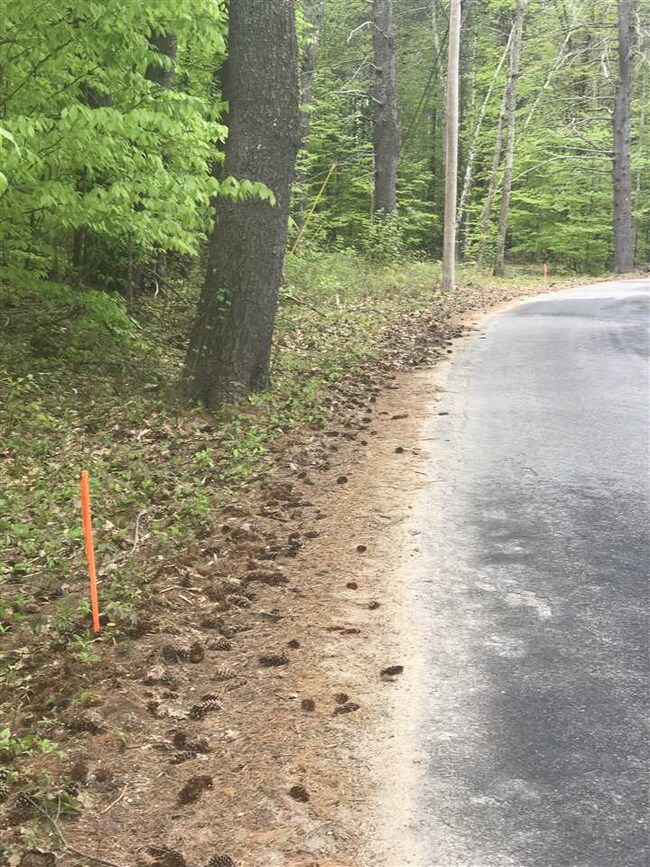 00 Long Point Rd unit 15, Moultonborough, NH 03254 - photo 3