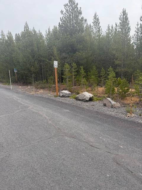 58 Royce Mount Way, Crescent Lake Junction, OR 97733 - photo 4