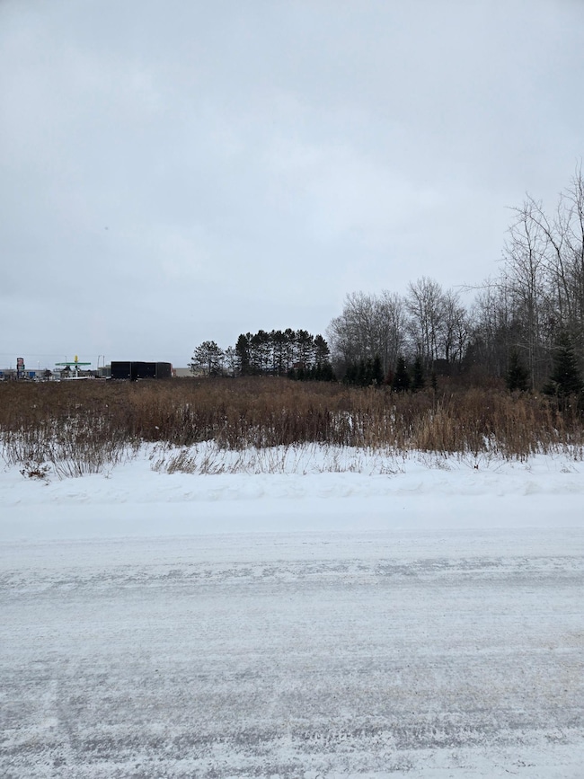 2007 Progress Blvd, Antigo, WI 54409 - photo 2