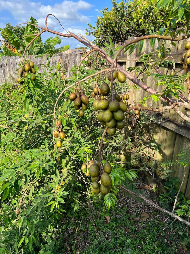 9550 Ohio Place, Boca Raton, FL 33434 - photo 7