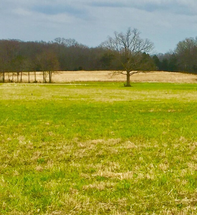 297 Whitaker Rd, Shelbyville, TN 37160 - photo 2