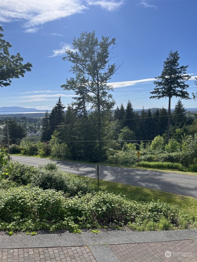 1557 Emerald Lake Way, Bellingham, WA 98226 - photo 3