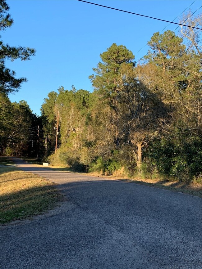 0 Crooked Creek Rd, Hockley, TX 77447 - photo 6
