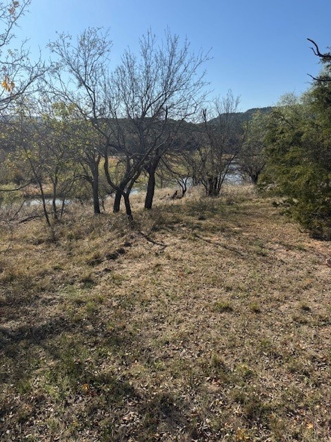 unlisted-address, Graford, TX 76449 - photo 2